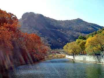 管家婆黑白马报图库，风骏论坛